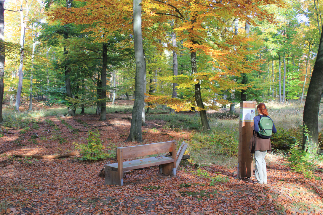 Infostelen am Wege verraten Spannendes, Foto: Bansen-Wittig