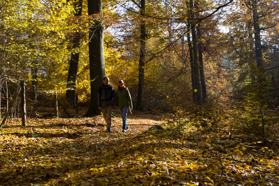 Wandern durch bunten Herbstwald, Foto: Bansen-Wittig
