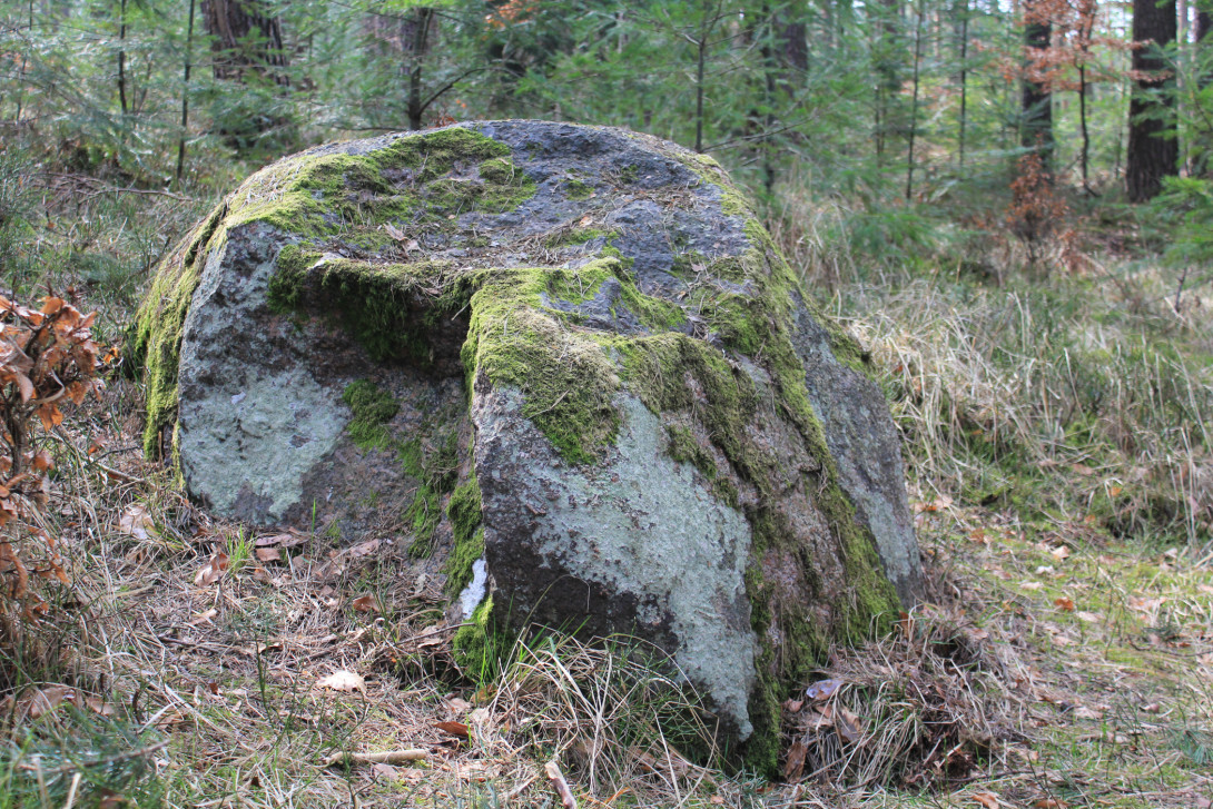 Elefantenstein, Foto: Bansen-Wittig
