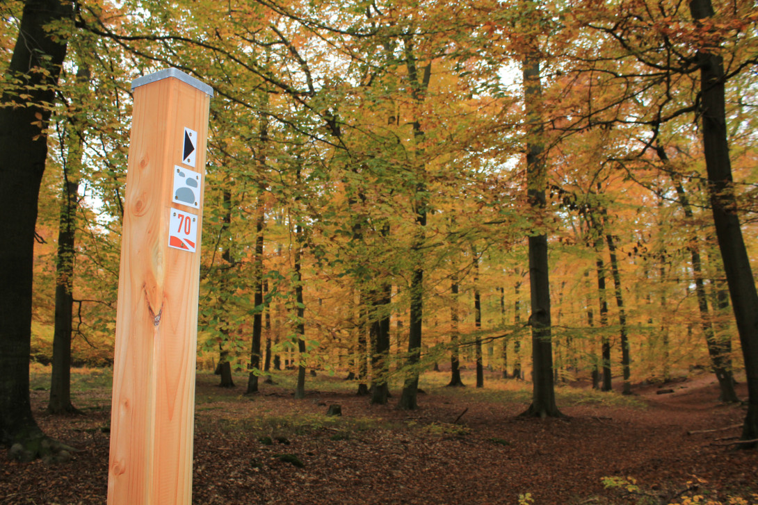 Zwischenwegweiser, Foto: Bansen-Wittig