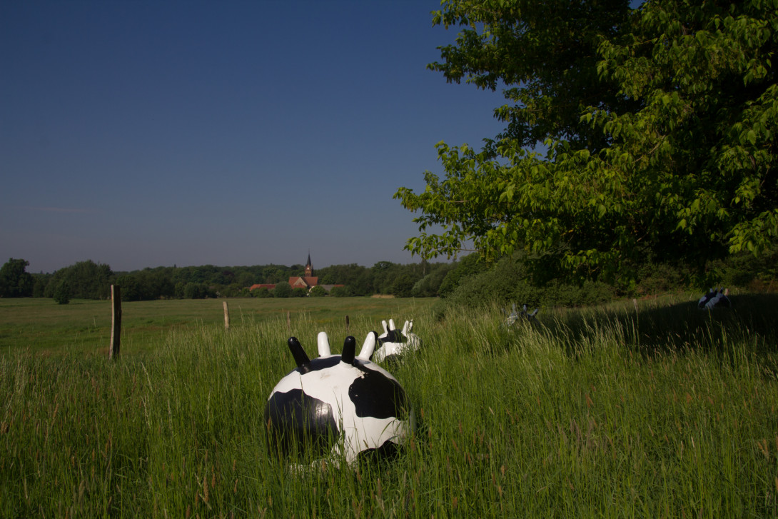 Blick auf Wiesenburg, Foto: Bansen-Wittig