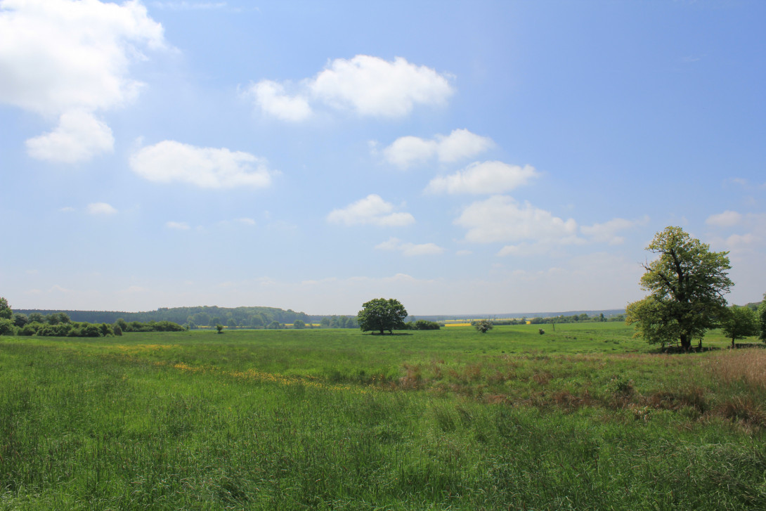 Weiter Blick in die Landschaft bei Wiesenburg, Foto: Bansen-Wittig