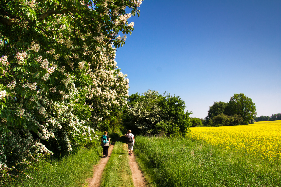 Wandern durch die schöne Landschaft des Naturparks, Foto: Bansen-Wittig