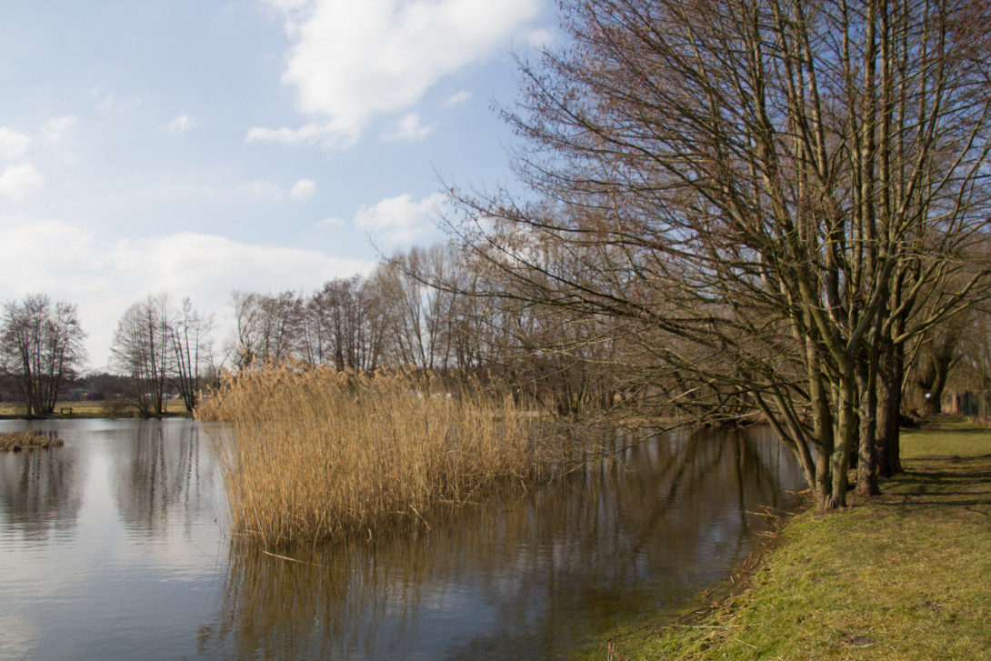 Jeseriger See - eine Besonderheit im Naturpark, Foto: Bansen-Wittig