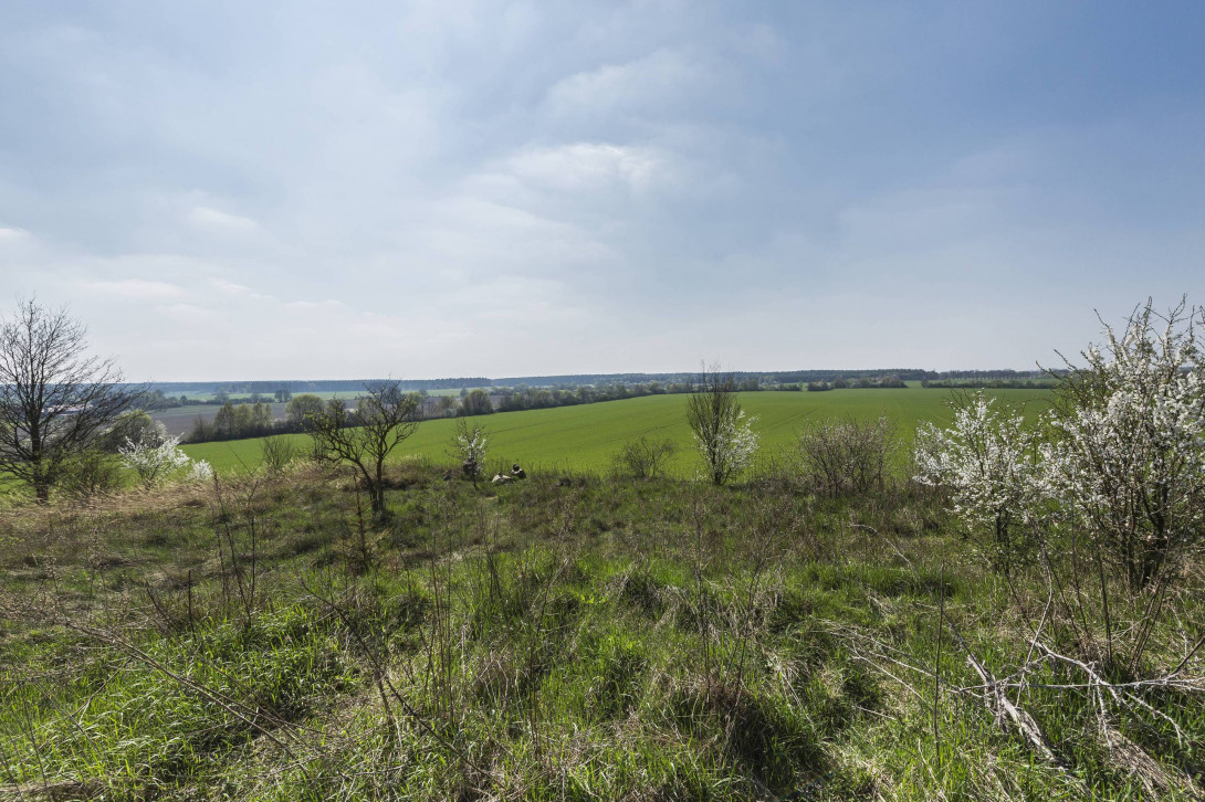 Aussicht vom Hagelberg, Foto: Steffen Lehmann, Lizenz: TMB-Fotoarchiv