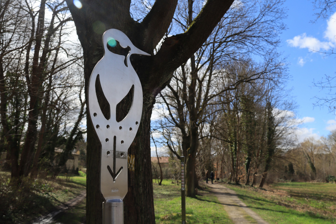 Der Schnabel weist den Weg, Foto: Bansen-Wittig